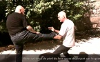 Penchak Silat : Variante 2, parer un coup de pied de face et répliquer aux génitales et rotule par Jean-Noël Naturel et Rémy Gast Penchak Silat : Variante 2, parer un coup de pied de face et répliquer aux génitales et rotule par Jean-Noël Naturel et Rémy Gast